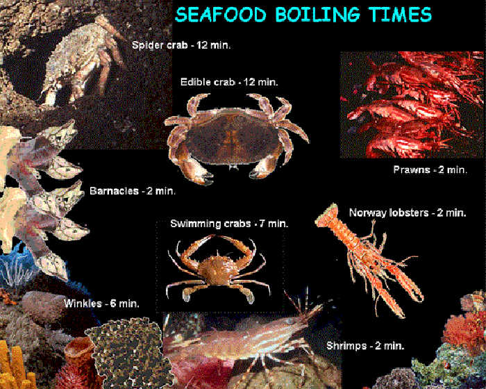 Seafood boiling times 